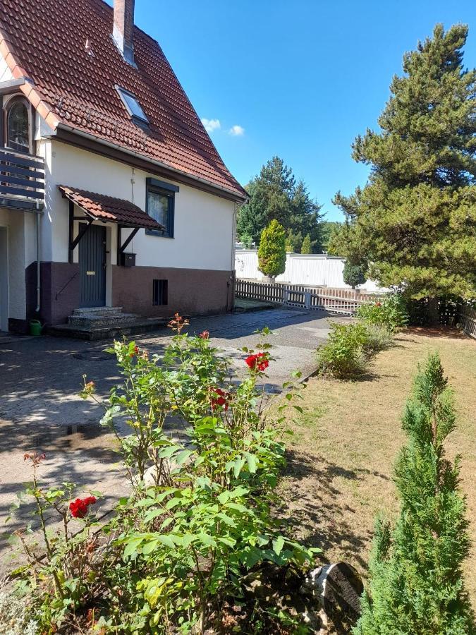 Ferienhaus International Bad Harzburg Exteriör bild
